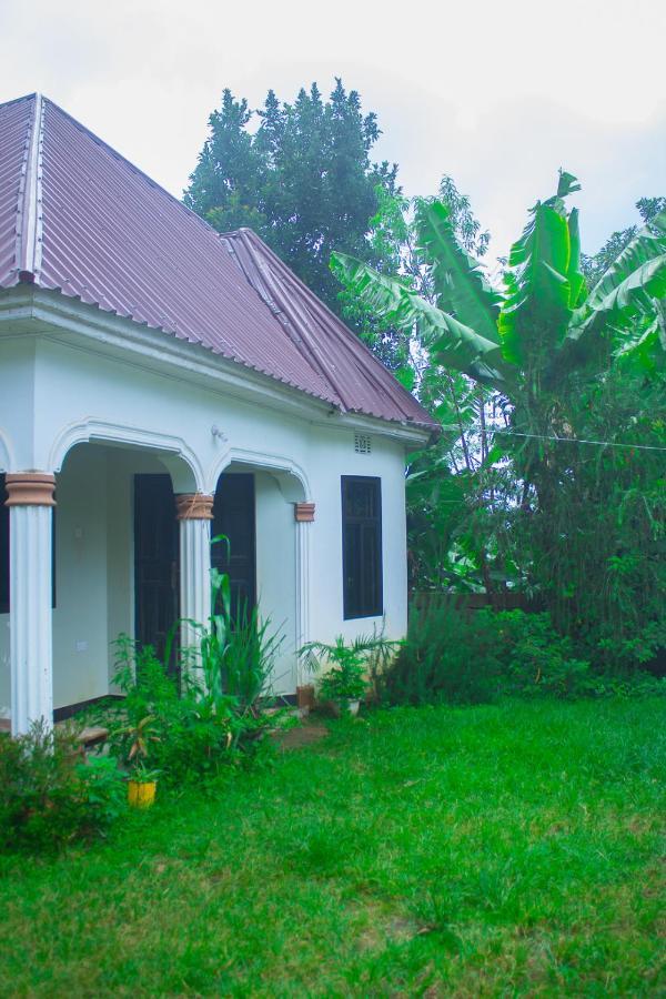 New Dream House Bed & Breakfast Arusha Exterior photo